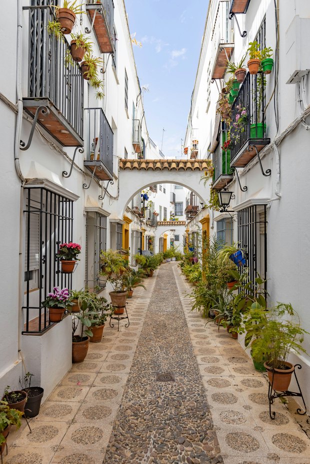 A narrow whitewashed lane with arches, iron balconies and flower pots lining the pebbled path.