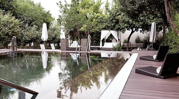 The walled garden: orange trees, a curtained daybed and loungers beside a dark pool.